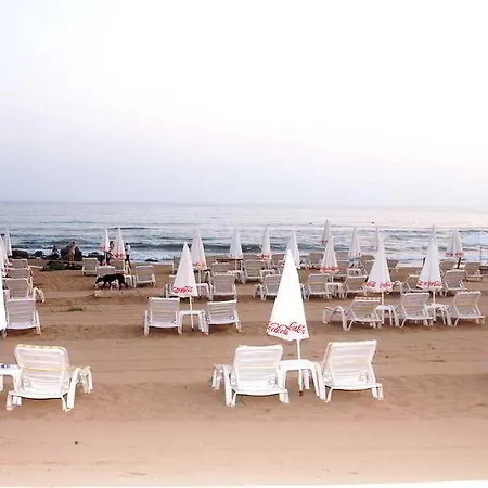Adella Side (adults Only)